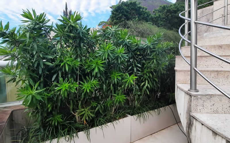 Impermeabilização de Laje