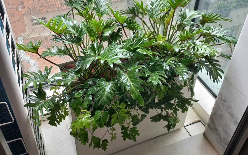 Peças em Fibra de Vidro